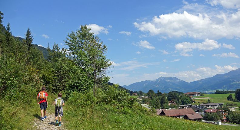 Aussicht in Gnadenwald Baumpfad