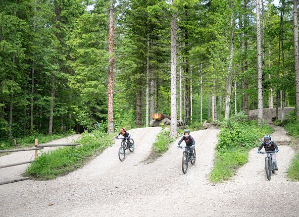 biker-auf-den-trails-vom-bettelwurf-bikepark-hall-wattens-1