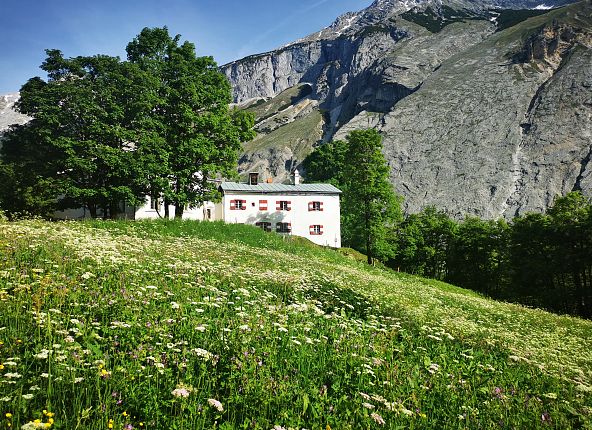 Blumenparadies Issanger im Halltal Wanderung Tirol