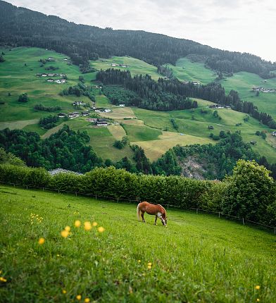 fotowalk-hall-wattens-38-von-156-3