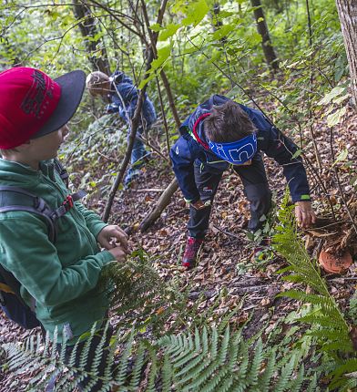 geocaching-runde-winterzauber-und-sommerfrische-trail-hall-wattens