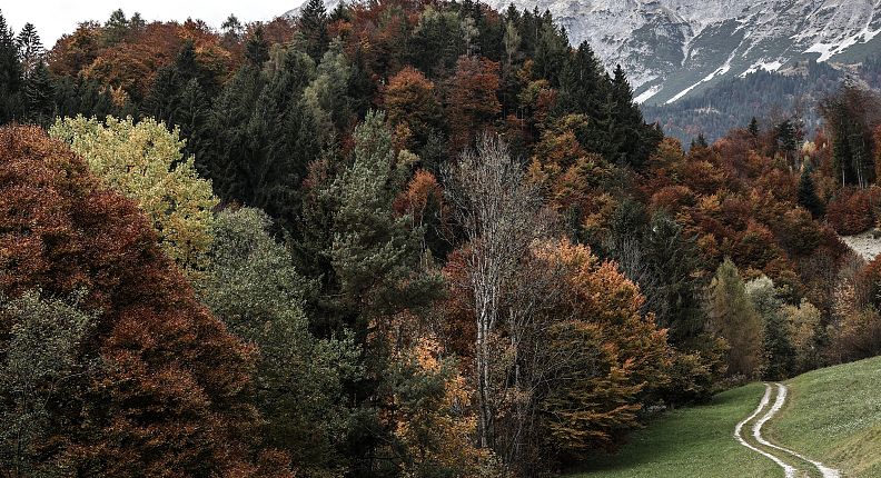 Sentieri escursionistici Gnadenwald