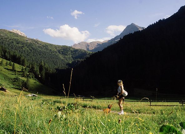 hd-zirmweg-lizumerhuette-wattental-wandern-sommer-30-1