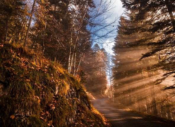 herbststimmung-hall-wattens