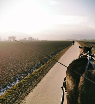 img-20210106-wa0000-3