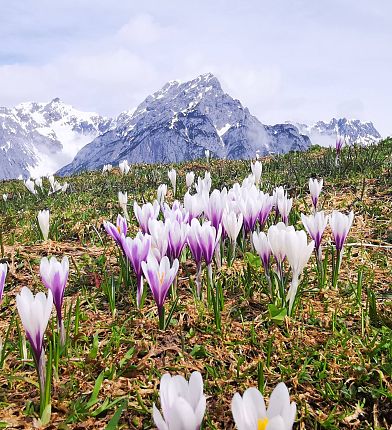 img-20210501-105857-3