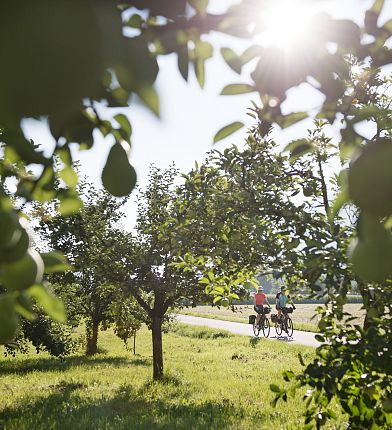 innradweg-hall-in-tirol-radfahren-tirol-werbung-1-3