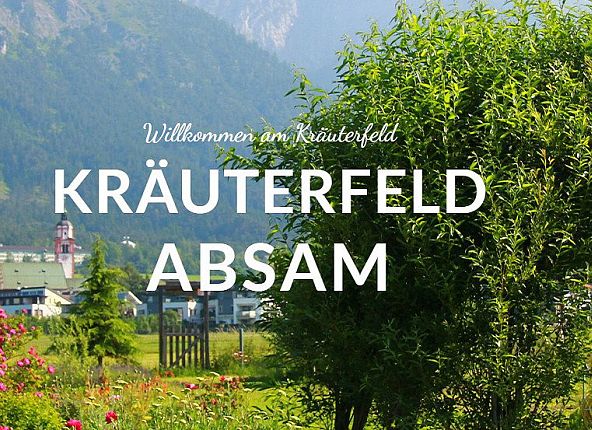 kraeuterfeld-absam-1