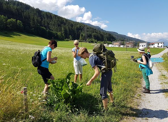 kraeuterwanderung-claudia-2019-gaeste-1