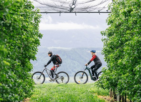 kulinarische-radtour-ueber-die-felder-und-wiesen-hall-wattens-8-1