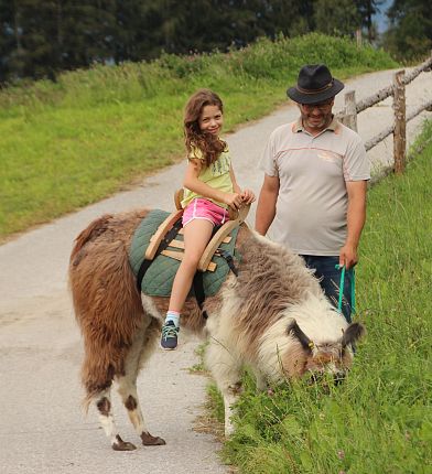 Lamatrekking und Reiten am Wattenberg