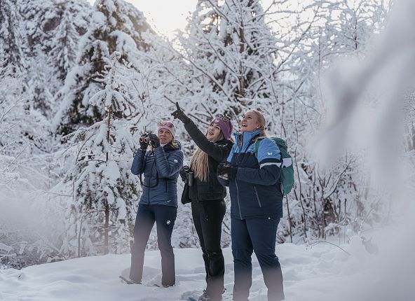 nature-watch-auf-schneeschuhen-hall-wattens