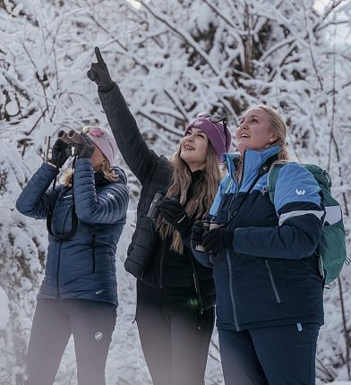 nature-watch-auf-schneeschuhen-hall-wattens