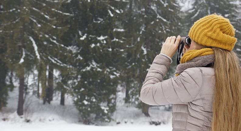 Nature Watch im Winter