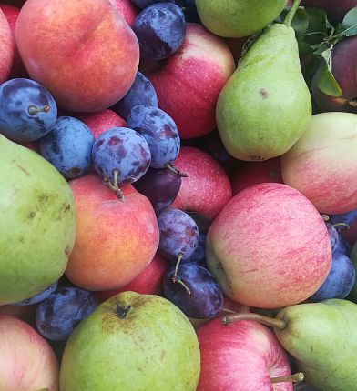 obst-pflaume-birne-apfel-3