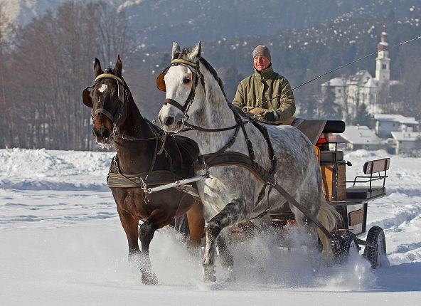 Kutschenfahrt Winter