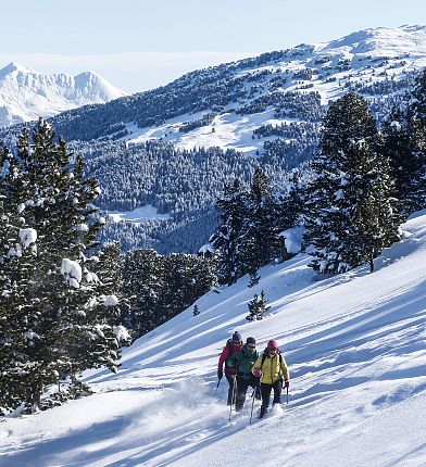 schneeschuhwandern-winterwald-glungezer-hall-wattens