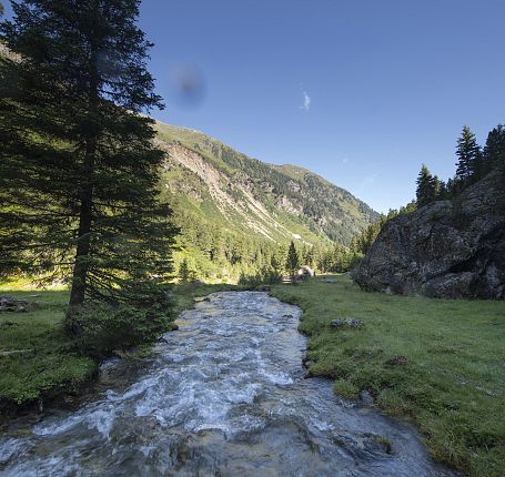 A mountain stream flows through a lush green landscape with pine trees under a clear sky.