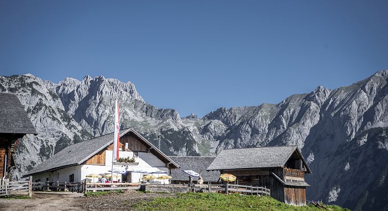 walderalm-bei-gnadenwald-gnadenwald-almen-kraftort-hall-wattens