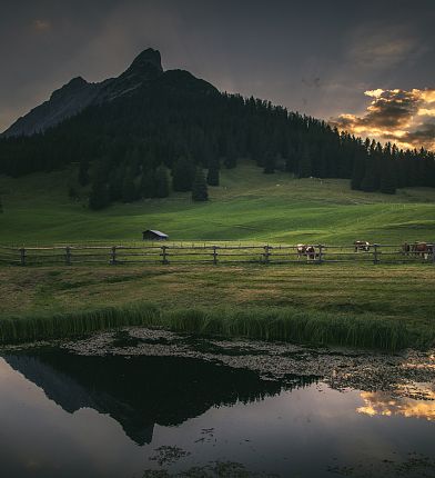 walderalm-daemmerung-hall-wattens