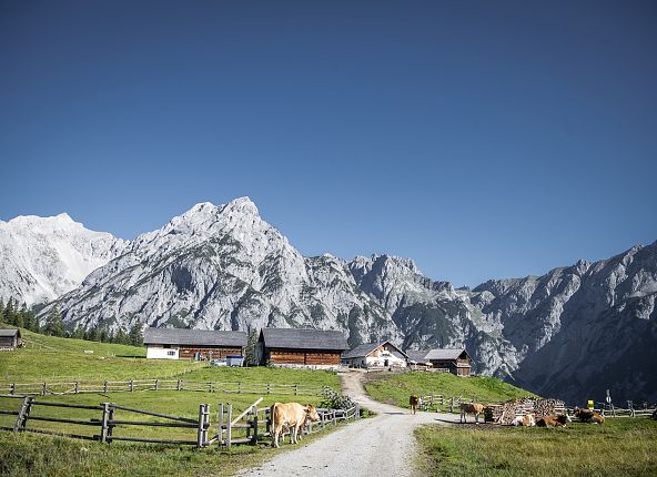 walderalm-in-gnadenwald-hall-wattens