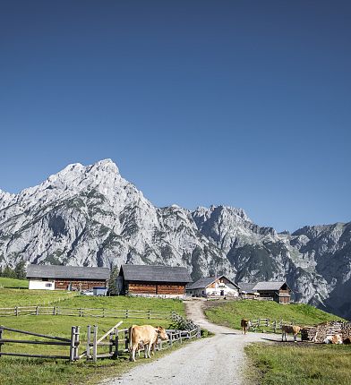 walderalm-in-gnadenwald-hall-wattens