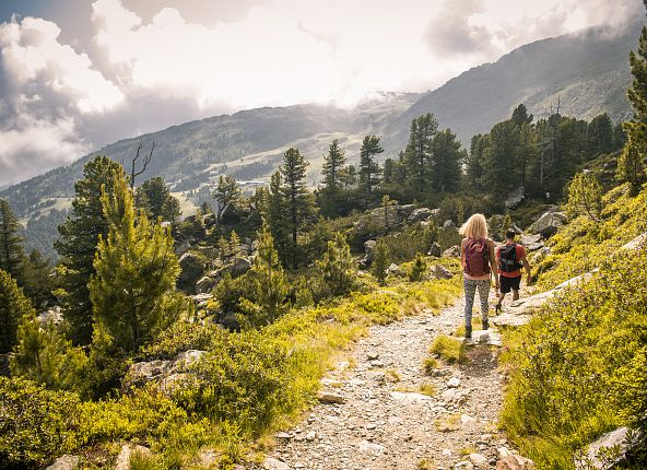 wandern-am-zirbenweg-in-tulfes-glungezer-1