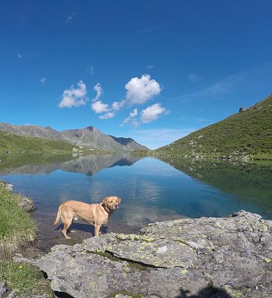 Hiking with a dog