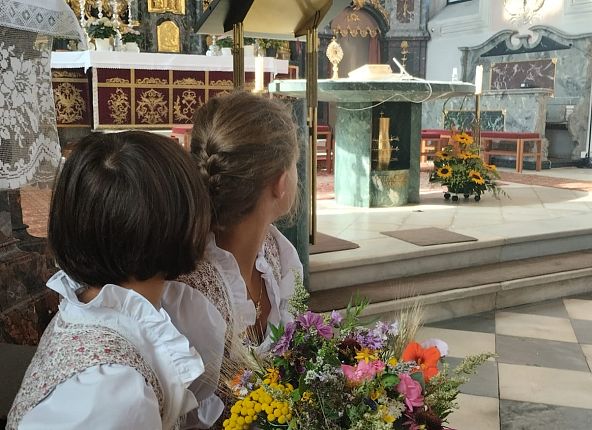 weihe-kraeuterbuschen-1