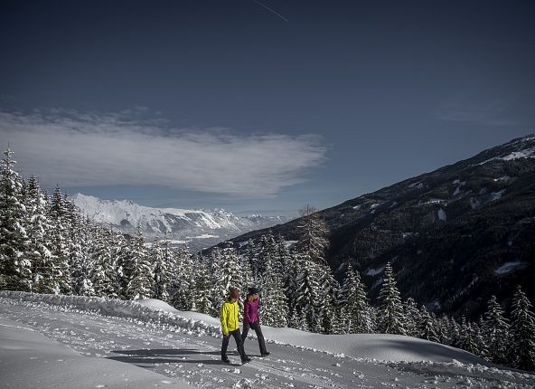 Escursione sulla neve con vista