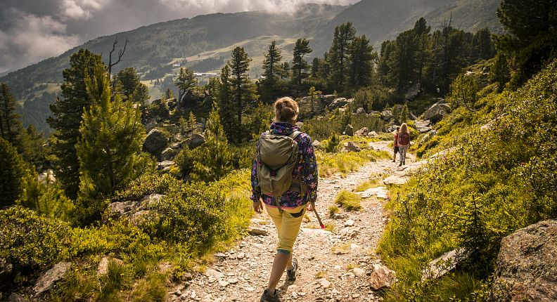 zirbenweg-wandern-tulfes-zirbe-tirol-glungezer-2