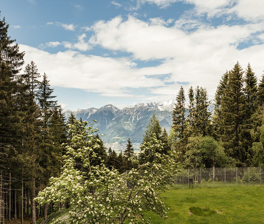 Waldblick House Gufl