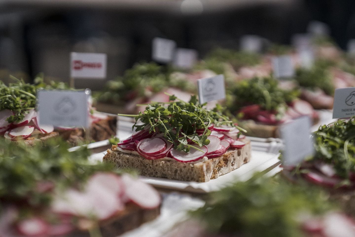 20250426__RADIESCHENFEST_BUCHNER-57