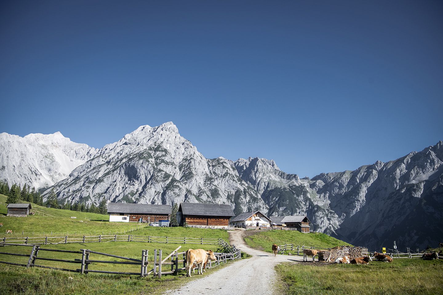 Walderalm in Gnadenwald ©hall-wattens.at