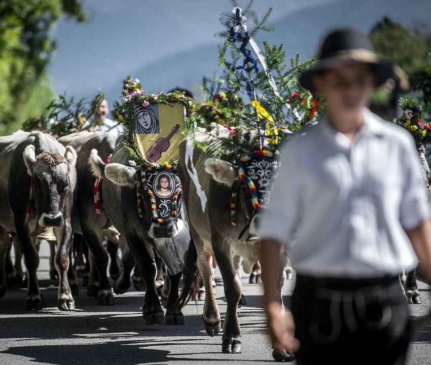 Encore plus d'événements phares dans la région