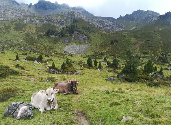 aussermelang-wattener-lizum-hall-wattens