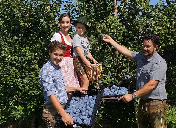brennerei-bogner-fotos-fuer-grias-di-noch-unter-verschluss-hall-wattens