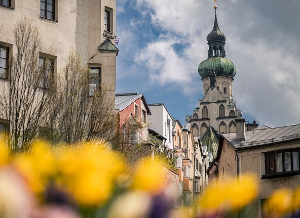 Stadtansicht mit historischem Kirchturm und blühenden gelben Blumen im Vordergrund, unter einem bewölkten Himmel.