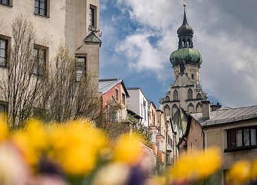 Stadtansicht mit historischem Kirchturm und blühenden gelben Blumen im Vordergrund, unter einem bewölkten Himmel.