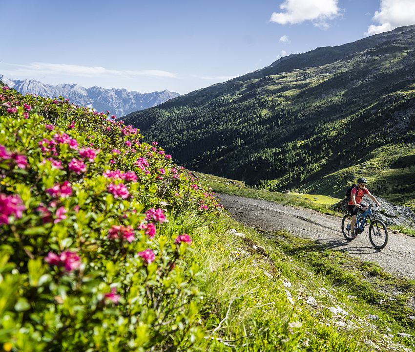 fruehsommer-mountainbike-voldertal