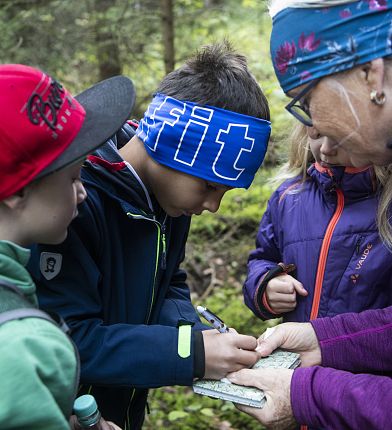geocaching-runde-winterzauber-und-sommerfrische-trail-hall-wattens