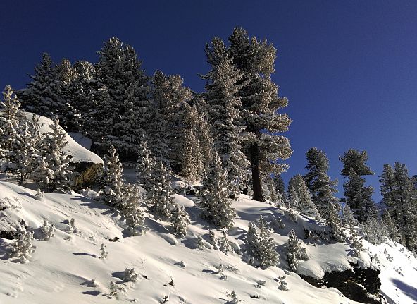 glungezer-skitour-matthias-jaenner-2016-hall-wattens