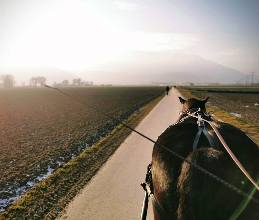 Romantische koetsrit. Tirol