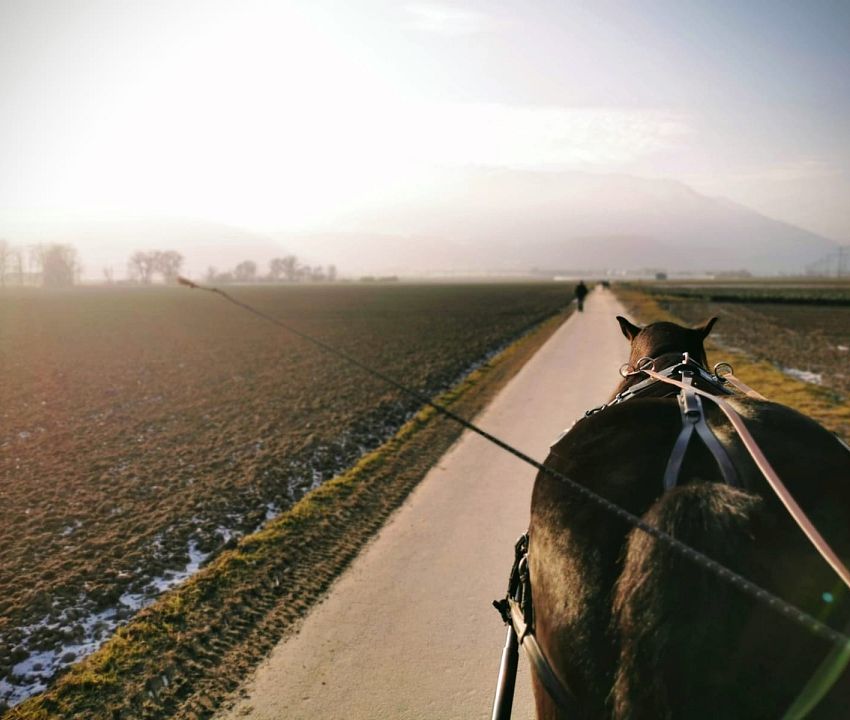 Romantische Kutschenfahrt. Tirol