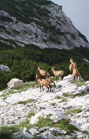 karwendel-hoehenweg-chall-wattens
