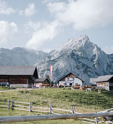 Traditionelle Holzhütten vor einem beeindruckenden Alpenpanorama mit grasbedeckten Hügeln und einer markanten Bergkette im Hintergrund.
