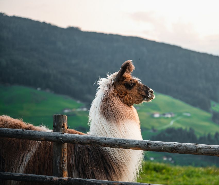 Boutique d'expériences