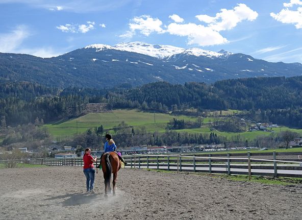 pferde-reitunterricht-hallwattens-2-3