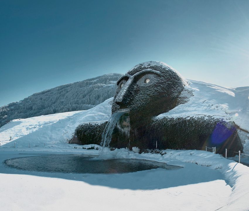 Gästekarte = Fahrkarte