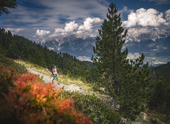 wandern-zirbenweg-hall-wattens